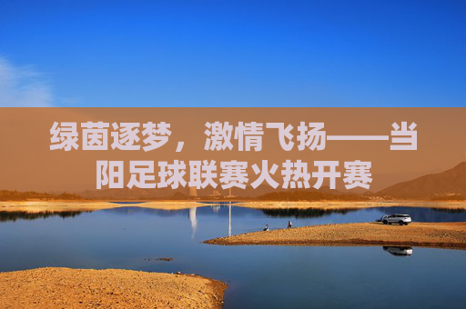 绿茵逐梦,激情飞扬——当阳足球联赛火热开赛
