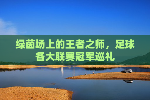 绿茵场上的王者之师，足球各大联赛冠军巡礼