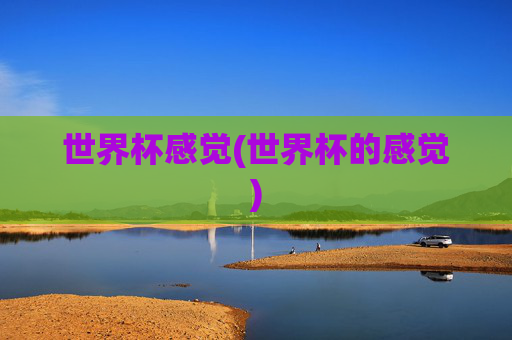 世界杯感觉(世界杯的感觉)