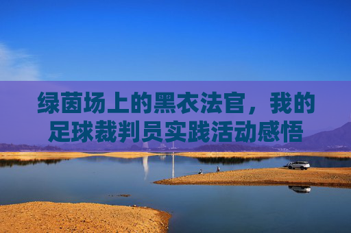 绿茵场上的黑衣法官，我的足球裁判员实践活动感悟