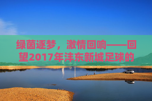 绿茵逐梦,激情回响——回望2017年沣东新城足球的高光时刻