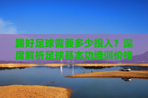 踢好足球需要多少投入?深度解析足球基本功培训价格与性价比