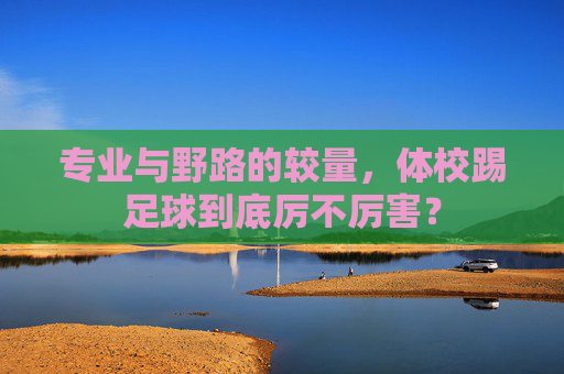 专业与野路的较量，体校踢足球到底厉不厉害？