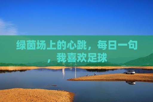 绿茵场上的心跳,每日一句,我喜欢足球