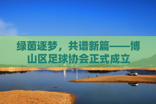 绿茵逐梦,共谱新篇——博山区足球协会正式成立