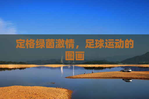 定格绿茵激情,足球运动的图画