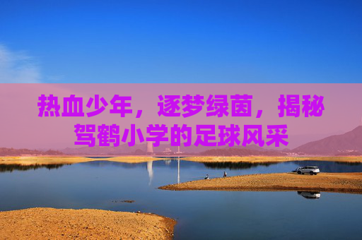 热血少年,逐梦绿茵,揭秘驾鹤小学的足球风采