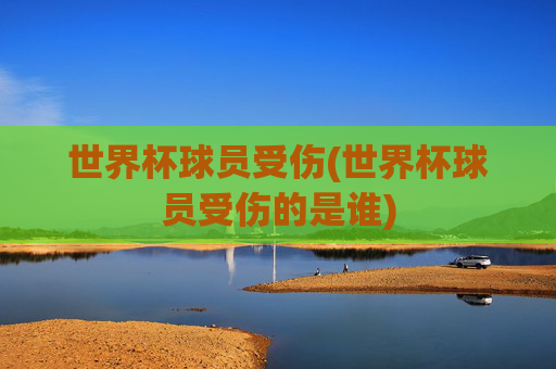 世界杯球员受伤(世界杯球员受伤的是谁)
