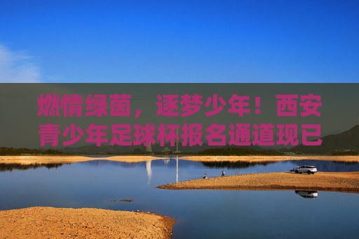 燃情绿茵,逐梦少年!西安青少年足球杯报名通道现已全面开启
