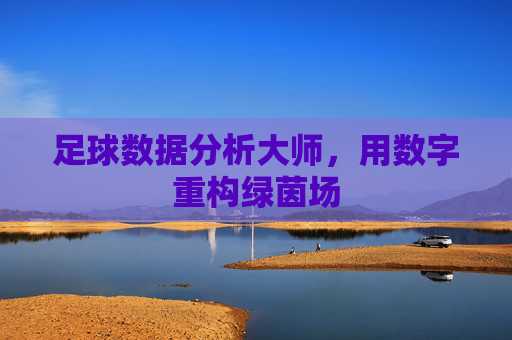 足球数据分析大师,用数字重构绿茵场