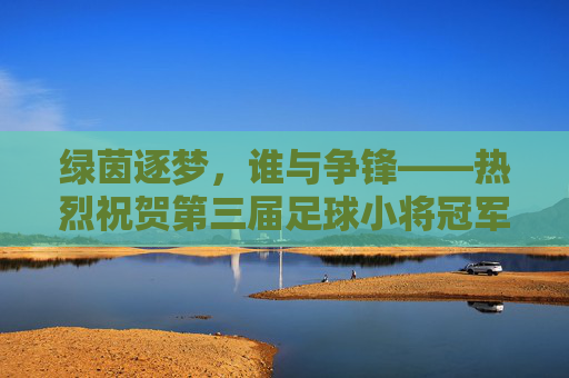 绿茵逐梦,谁与争锋——热烈祝贺第三届足球小将冠军诞生