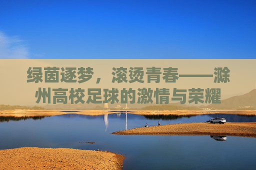 绿茵逐梦,滚烫青春——滁州高校足球的激情与荣耀