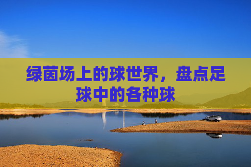 绿茵场上的球世界,盘点足球中的各种球