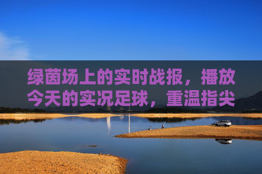 绿茵场上的实时战报，播放今天的实况足球，重温指尖激情