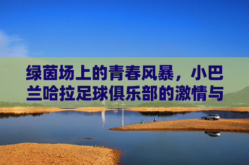 绿茵场上的青春风暴，小巴兰哈拉足球俱乐部的激情与梦想