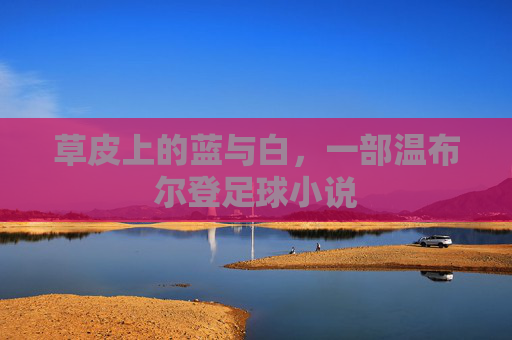 草皮上的蓝与白,一部温布尔登足球小说