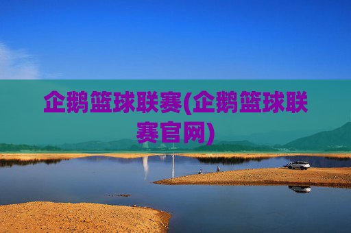 企鹅篮球联赛(企鹅篮球联赛官网)