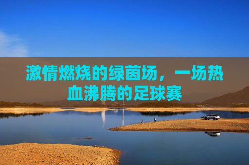 激情燃烧的绿茵场,一场热血沸腾的足球赛