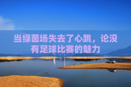 当绿茵场失去了心跳,论没有足球比赛的魅力