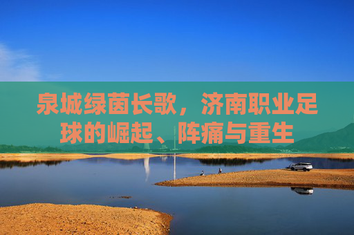 泉城绿茵长歌,济南职业足球的崛起、阵痛与重生