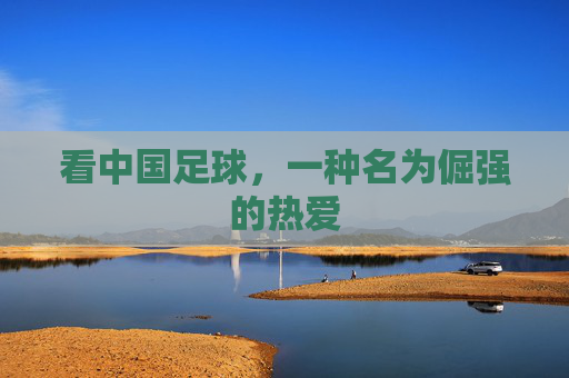 看中国足球,一种名为倔强的热爱