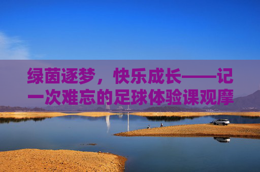 绿茵逐梦,快乐成长——记一次难忘的足球体验课观摩心得