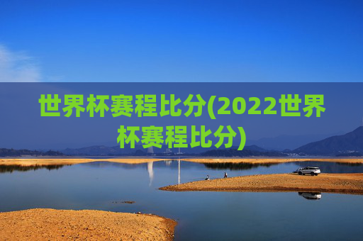世界杯赛程比分(2022世界杯赛程比分)