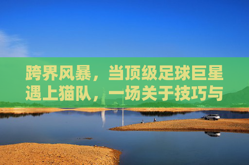 跨界风暴，当顶级足球巨星遇上猫队，一场关于技巧与爪子的较量