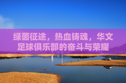 绿茵征途，热血铸魂，华文足球俱乐部的奋斗与荣耀