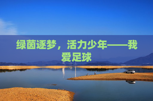 绿茵逐梦,活力少年——我爱足球