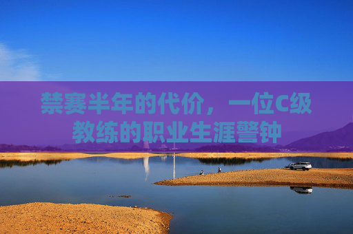 禁赛半年的代价，一位C级教练的职业生涯警钟