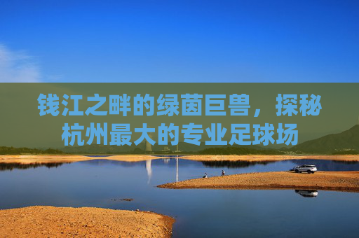 钱江之畔的绿茵巨兽，探秘杭州最大的专业足球场