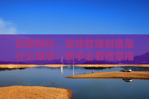 深度解析,足球胜赔到底是什么意思?新手必看赔率指南