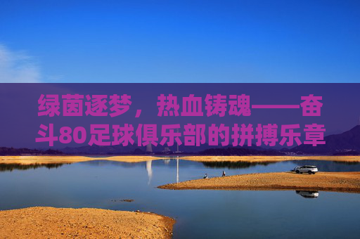 绿茵逐梦,热血铸魂——奋斗80足球俱乐部的拼搏乐章