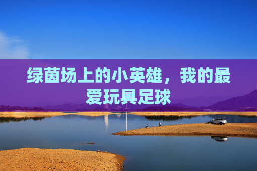 绿茵场上的小英雄,我的最爱玩具足球