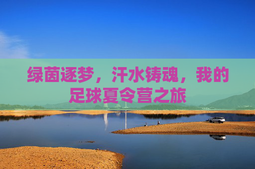 绿茵逐梦,汗水铸魂,我的足球夏令营之旅