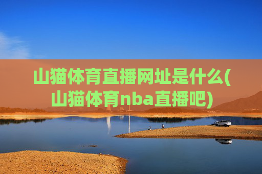 山猫体育直播网址是什么(山猫体育nba直播吧)