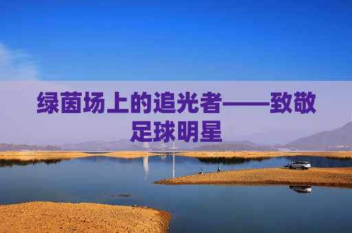 绿茵场上的追光者——致敬足球明星