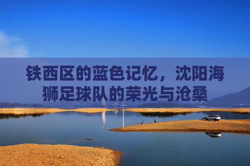 铁西区的蓝色记忆,沈阳海狮足球队的荣光与沧桑
