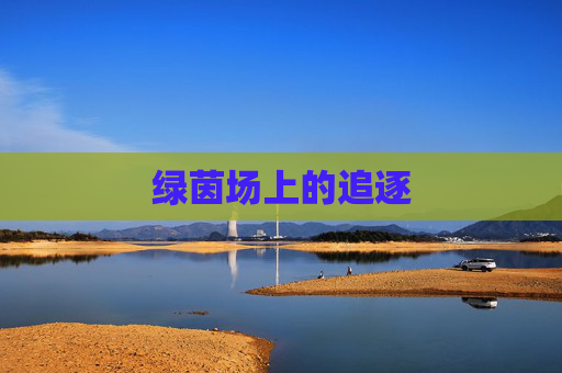 绿茵场上的追逐