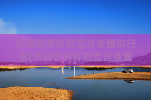 历届世界杯冠军含金量排行榜(历届世界杯冠军含金量排行榜最新)