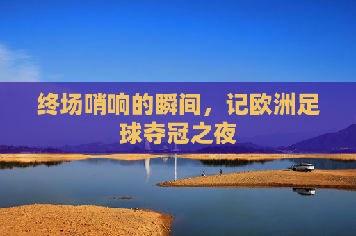 终场哨响的瞬间,记欧洲足球夺冠之夜