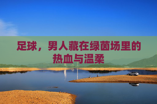 足球,男人藏在绿茵场里的热血与温柔