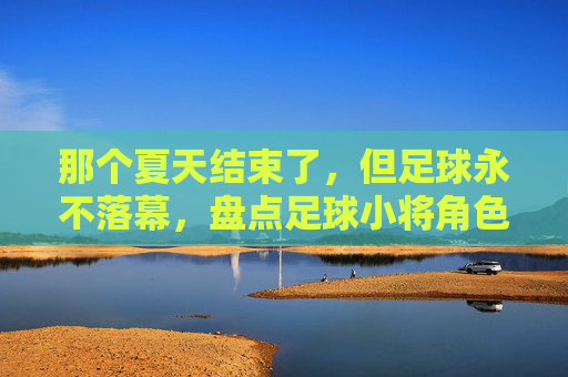 那个夏天结束了，但足球永不落幕，盘点足球小将角色的各自结局