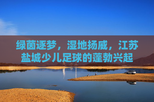 绿茵逐梦,湿地扬威,江苏盐城少儿足球的蓬勃兴起