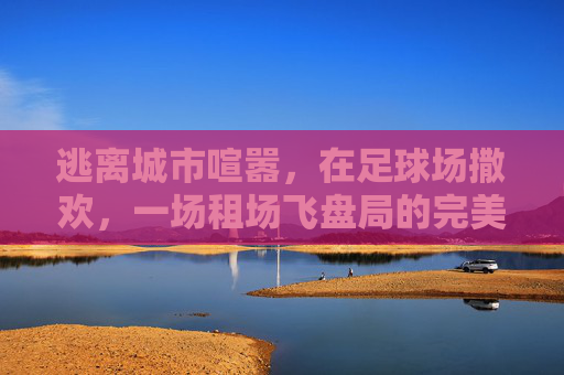逃离城市喧嚣,在足球场撒欢,一场租场飞盘局的完美打开方式