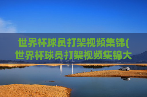 世界杯球员打架视频集锦(世界杯球员打架视频集锦大全)