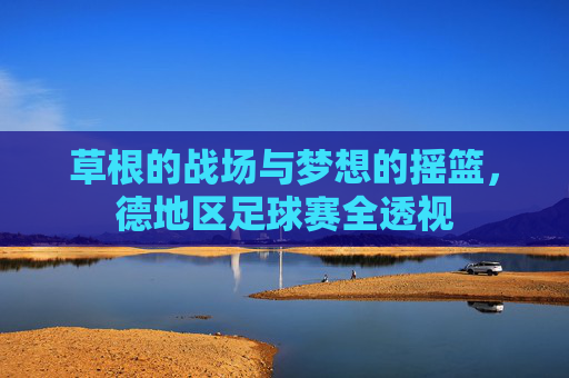 草根的战场与梦想的摇篮,德地区足球赛全透视