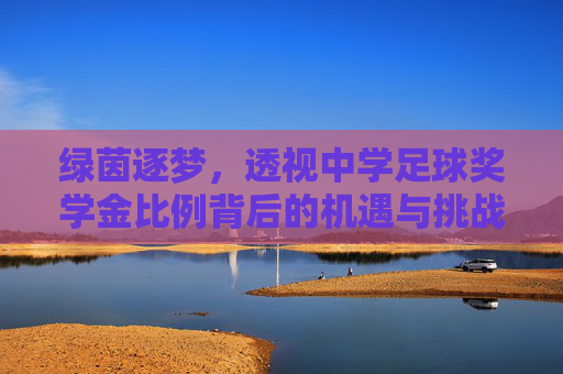 绿茵逐梦,透视中学足球奖学金比例背后的机遇与挑战