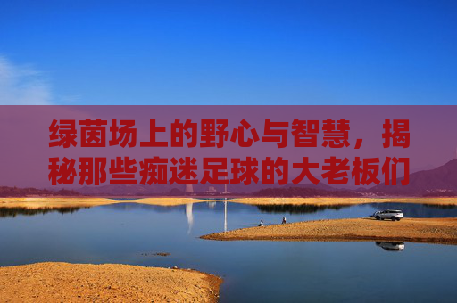 绿茵场上的野心与智慧,揭秘那些痴迷足球的大老板们